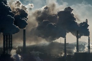 Lire la suite à propos de l’article Comment éviter la dégradation totale de l’environnement?